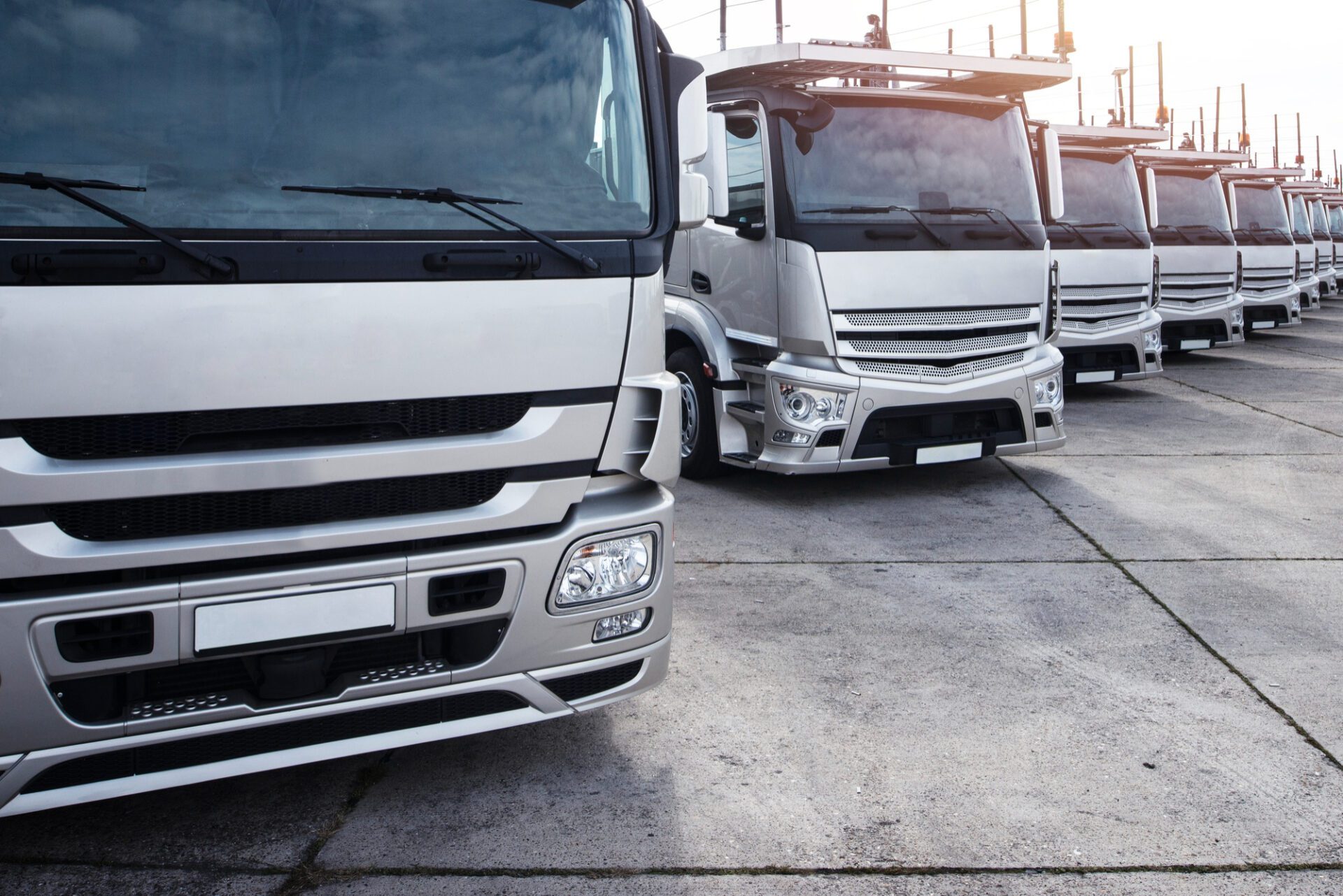 Group of trucks parked in a row